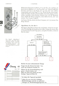 Flow chart: he, she, it