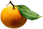 image of an orange