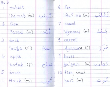 exercise containing 10 arabic nouns